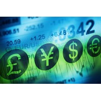 Forex Signals logo - Similar company to Qualebroker.Com