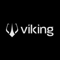 Viking Mídia logo - Similar company to Educators Leap Abroad