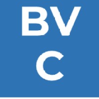 Briarvista Consulting logo - Similar company to Bluestar Consulting