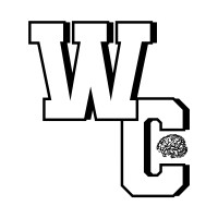 Wonder Clothing LLC logo - Similar company to Prodops Ai