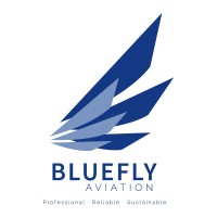BlueFly Aviation Consulting logo - Similar company to R-Techs Consulting