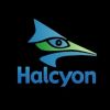 Halcyon Consultants logo - Similar company to Mstsoft