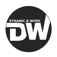 Dynamic & Work S.r.l. logo - Similar company to Pyxida Consulting S.R.L.