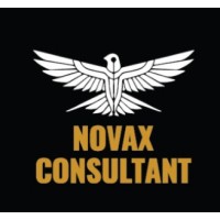 NOVAX CONSULTING logo - Similar company to Wsi Consulting