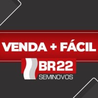 BR22 SEMINOVOS MULTIMARCAS logo - Similar company to Lumare Locadora De Veículos