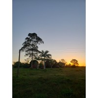 Fazenda Lageado logo - Similar company to Fazenda Speranza