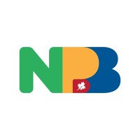 NPB - Networking para Brasileiros no Canada | Brazilians' Networking Group logo - Similar company to Federation Of Canadian-Brazilian Businesses (Fcbb)