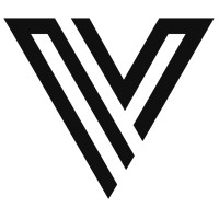 VKNG logo - Similar company to Api Concept