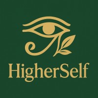 HigherSelf logo - Similar company to Blocks On Kaspa