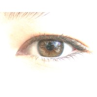 Sensors Group, Inst. of Neuroinformatics, UZH-ETH Zurich logo - Similar company to Carebotics