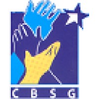 Capacity Building Service Group logo - Similar company to Study International