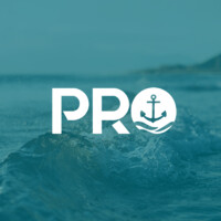 PRO Soluções Consultoria Jr. logo - Similar company to Engpac Pty Ltd