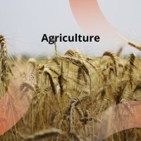 COOPERATIVE DES PRODUCTEURS DE PRODUITS AGRICOLES ( C2PA) logo - Similar company to Industrial Research Consortia For Friction Stir Processing R&D- C2Pa