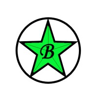 Brockstar Enterprises LLC logo - Similar company to Happy Days Accessibility
