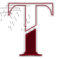 Tiberius Business Solutions logo - Similar company to Rtc Antwerpen