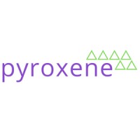 Pyroxene | for Health Insurance Innovators logo - Similar company to Entitywise