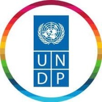 UNDP Nigeria logo - Similar company to Africa Fintech Foundry