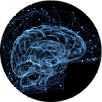 Metaverse Solutions Network logo - Similar company to Metaverse Solutions