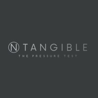 NTangible logo - Similar company to Alphacq