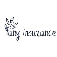 Any Insurance - Insurance Companies Around USA logo - Similar company to The Soli Group