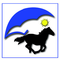 ClickMare Healthcare logo - Similar company to High Care