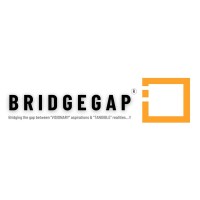 Bridgegap IT Services logo - Similar company to Driven Minds & Global Solutions