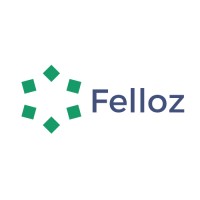 Felloz App logo - Similar company to Felloz