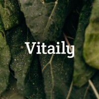 Vitaily logo - Similar company to Mannybees