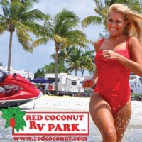 Red Coconut RV Park, LLP logo - Similar company to Coconut Pubs 🌴