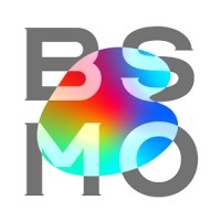 BSMO Co., Ltd. logo - Similar company to Asas, Inc.