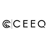 CeeQ logo - Similar company to Dzns