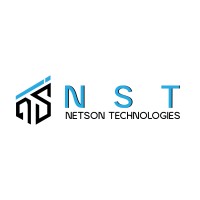 Netson Technologies logo - Similar company to Digalax