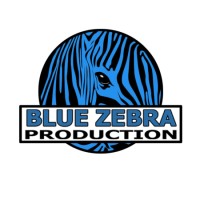 Blue Zebra Production s.r.o. logo - Similar company to Flow East