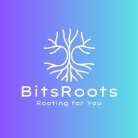 BitsRoots logo - Similar company to Webglobex Solutions
