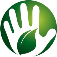 Palmeo logo - Similar company to Quickmsp