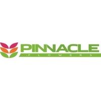 Pinnacle Down Under logo - Similar company to Tableware Ouest