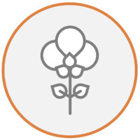 Kapaas Store logo - Similar company to Khaas Aam