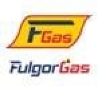 FULGORGAS SUD S.R.L. logo - Similar company to Sincom S.R.L.