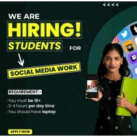 WORK FROM HOME ( HIRING FOR ONLINE WORKING FRESHERS & EXPERIENCE BOTH) logo - Similar company to Prem Kumar