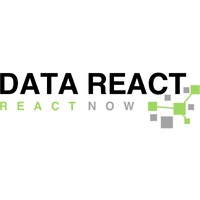 Data React logo - Similar company to Octopus Analytics
