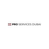 PRO Services Dubai logo - Similar company to Pro Deskk