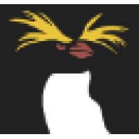 Rockhopper Media