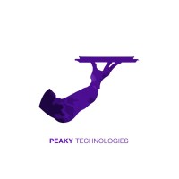 Peaky Technologies logo - Similar company to Hooga Gaming