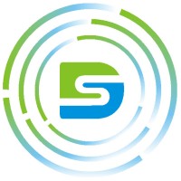 DS Solutions logo - Similar company to Dg Solutions A.S.