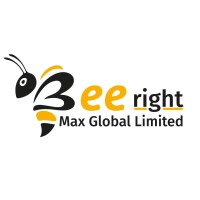 Bee-Right Max Global Limited Lagos logo - Similar company to Protencon As