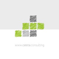 Ceista Consulting logo - Similar company to Masters Outsource Service
