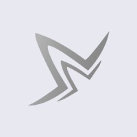 StellaSoft logo - Similar company to Itprove