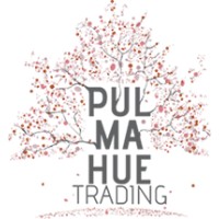 Pulmahue Trading logo - Similar company to Interbake Chile Spa