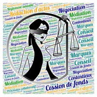 Martin Lacour - Avocat Médiateur Formateur ⚖️ logo - Similar company to Potentiel Optimum - Formateur De Leaders
