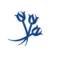 Blue Tulip Consultancy logo - Similar company to Equality Networks